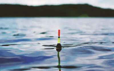 LA PAGA DE PARTICIPACIÓN EN BENEFICIOS RAE EMPRESA 2021